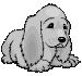 Honden plaatjes Spaniel 