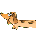 Honden plaatjes Teckels 