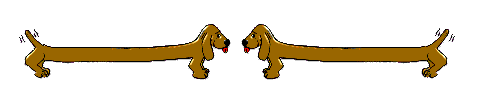Honden plaatjes Teckels 