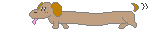 Honden plaatjes Teckels 