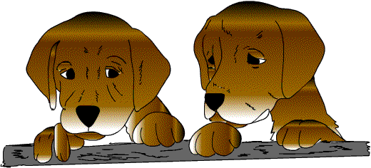 Honden plaatjes Teckels 
