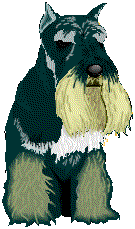 Honden plaatjes Terriers 