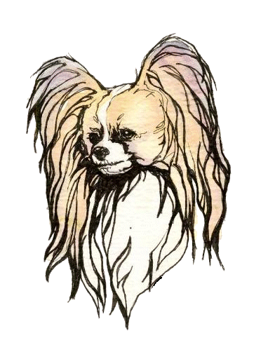 Honden plaatjes Vlinder hondje 