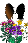 Honden plaatjes Vlinder hondje 