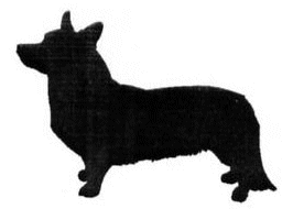 Honden plaatjes Welshcorgi 