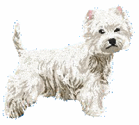 Honden plaatjes Westie 