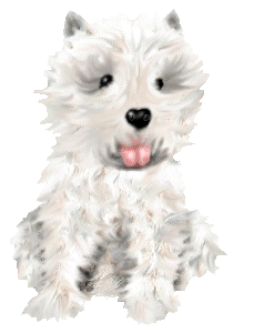 Honden plaatjes Westie 