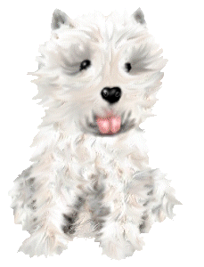 Honden plaatjes Westie 