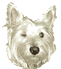 https://www.animaatjes.nl/honden-plaatjes/honden-plaatjes/westie/westie02.gif
