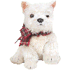 Honden plaatjes Westie Knipoog Hondje