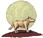 Honden plaatjes Witte herder 