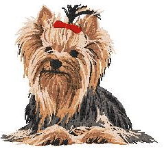 Honden plaatjes Yorkies 