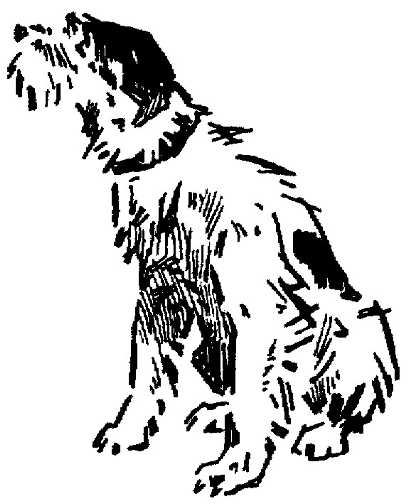Honden plaatjes Zwart wit honden 