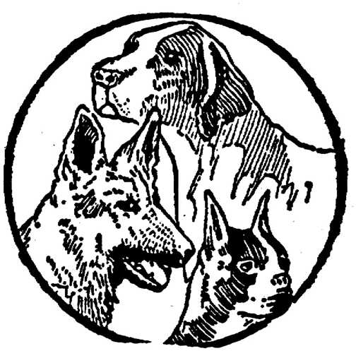 Honden plaatjes Zwart wit honden 