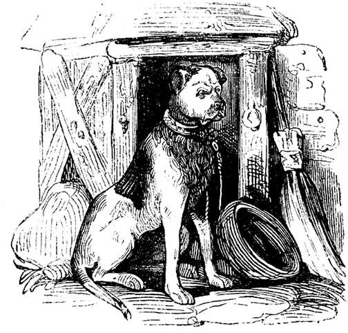 Honden plaatjes Zwart wit honden 