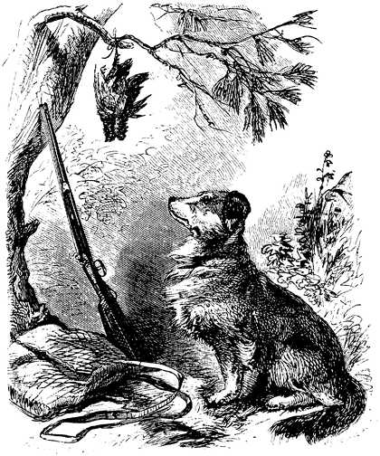 Honden plaatjes Zwart wit honden 