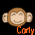 Dieren Apen Icon plaatjes 