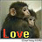 Dieren Apen Icon plaatjes 