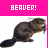 Dieren Bevers Icon plaatjes 