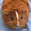 Dieren Cavia Icon plaatjes 