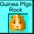 Dieren Cavia Icon plaatjes 