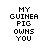 Dieren Cavia Icon plaatjes 