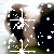 Dieren Cavia Icon plaatjes 