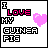 Dieren Cavia Icon plaatjes 