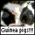 Dieren Cavia Icon plaatjes 