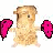 Dieren Cavia Icon plaatjes 