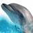 Dieren Icon plaatjes Dolfijn 