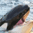 Dieren Icon plaatjes Dolfijn 