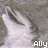 Dieren Icon plaatjes Dolfijn 