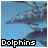 Dieren Icon plaatjes Dolfijn 