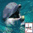 Dieren Icon plaatjes Dolfijn 