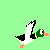 Dieren Eenden Icon plaatjes 