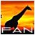 Dieren Giraffen Icon plaatjes 