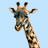 Dieren Giraffen Icon plaatjes 