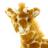 Dieren Giraffen Icon plaatjes 