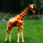 Dieren Giraffen Icon plaatjes 