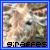 Dieren Giraffen Icon plaatjes 