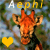 Dieren Giraffen Icon plaatjes 