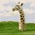 Dieren Giraffen Icon plaatjes 