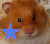 Dieren Hamsters Icon plaatjes 