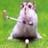 Dieren Hamsters Icon plaatjes 