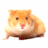 Dieren Hamsters Icon plaatjes 