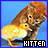 Dieren Icon plaatjes Katten en poezen 