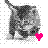 Dieren Icon plaatjes Katten en poezen 