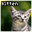 Dieren Icon plaatjes Katten en poezen 