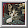 Dieren Icon plaatjes Katten en poezen 